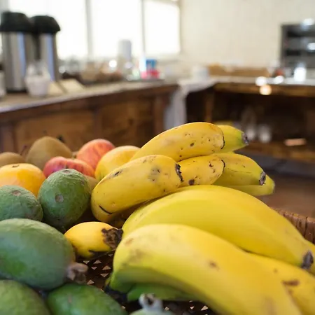 Bed and Breakfast Casa Proteas 4*