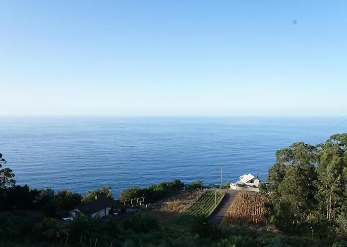 Casa Proteas Bed & Breakfast São Jorge