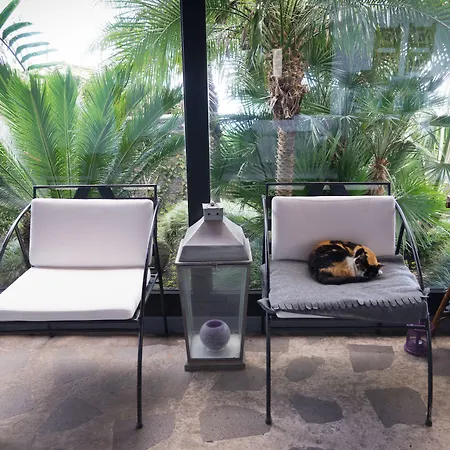 カーサ ダス プロテアス サン・ジョルジェ