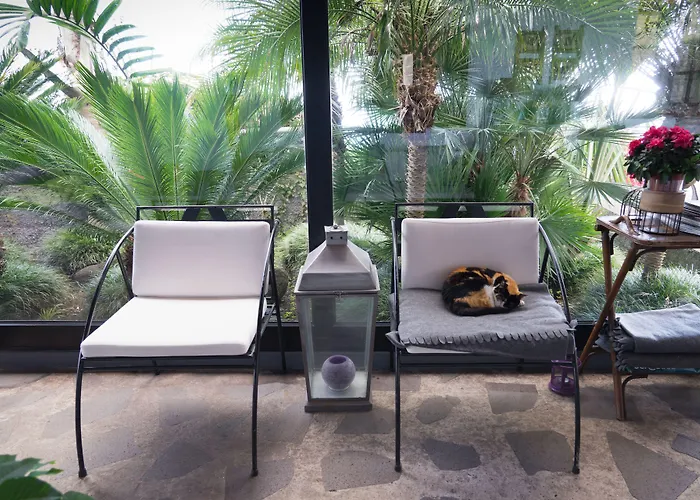 Casa Proteas Sao Jorge (Madeira)