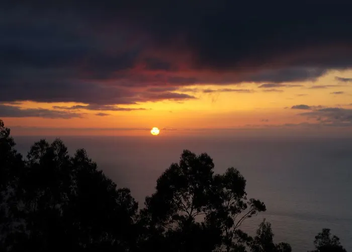 Casa Proteas Sao Jorge (Madeira)