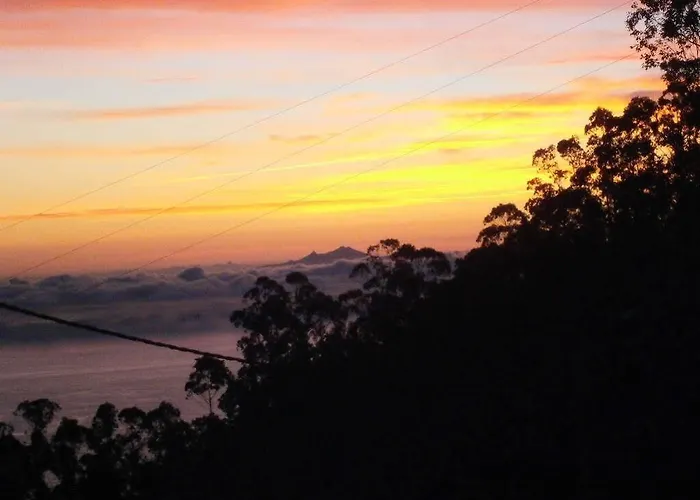 Casa Proteas São Jorge